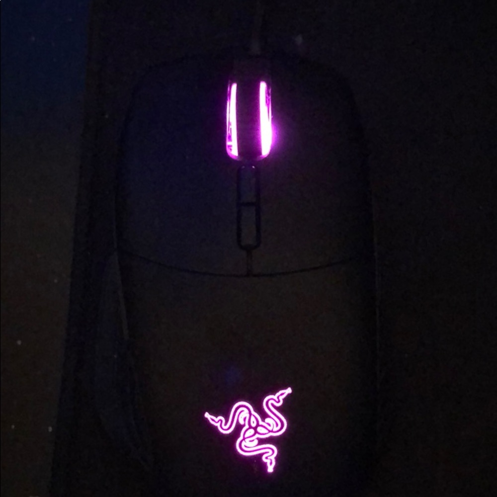 Mouse - Picture 4 of 8